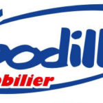 logo godille-immo2